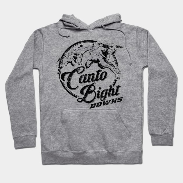 Canto Bight Downs Hoodie by MindsparkCreative